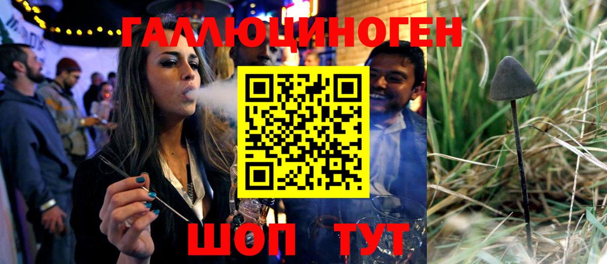 Галлюциногенные грибы GOLDEN TEACHER  Вход с VPN  Темрюк 